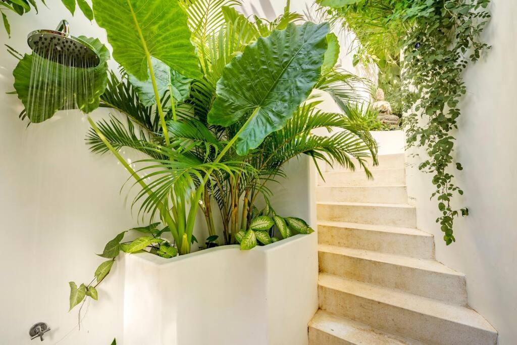 Nest Uluwatu - Eco Boutique Villa Luaran gambar